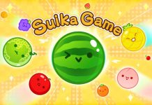 Suika: A Beginner’s Guide